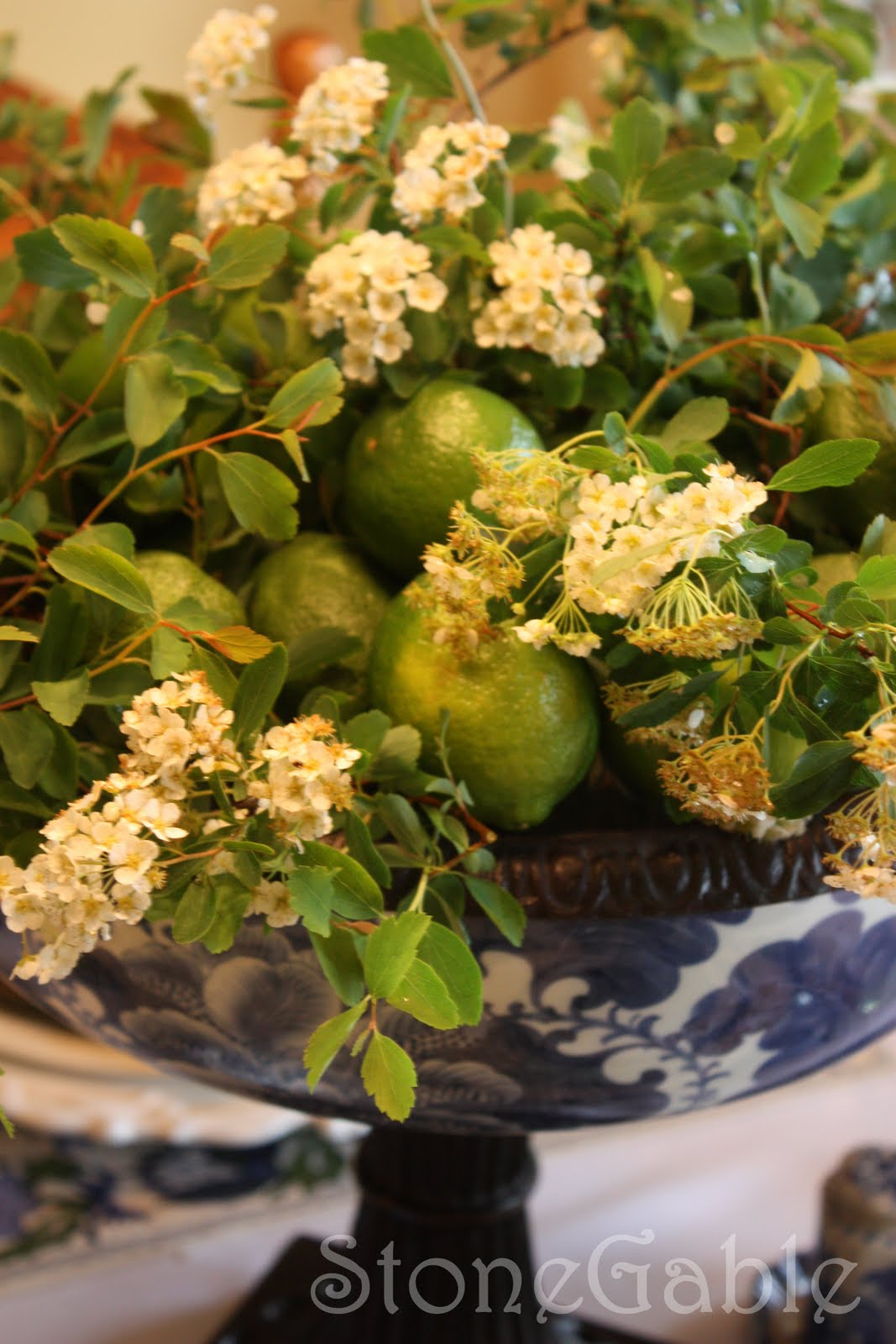 Flower Sunglasses Amazon Flowering Almond Bush For Sale