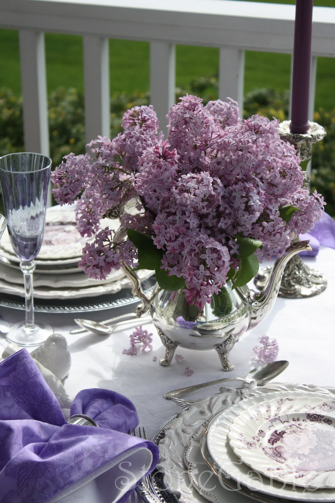 32 Best Lilacs Images Lilac Syringa Plants