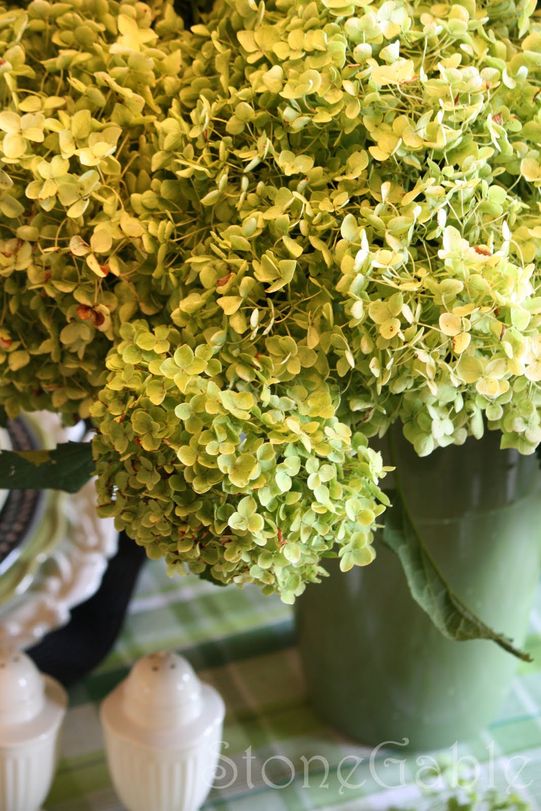 Sixty Fifth Avenue Little Lime Hydrangeas