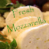 Making Fresh Mozzarella