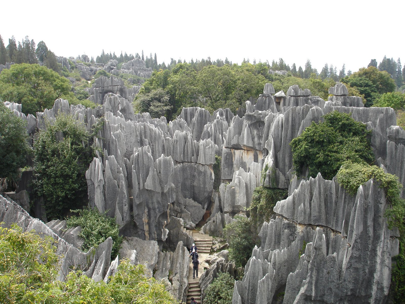 kunming stone forest