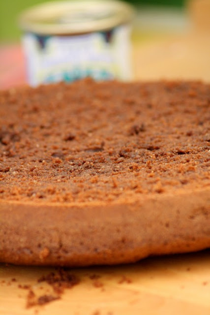 Gâteau au chocolat et moule wilton 4 Gâteau au chocolat et moule wilton 4