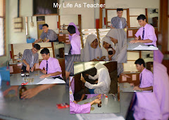 My Life As Teacher