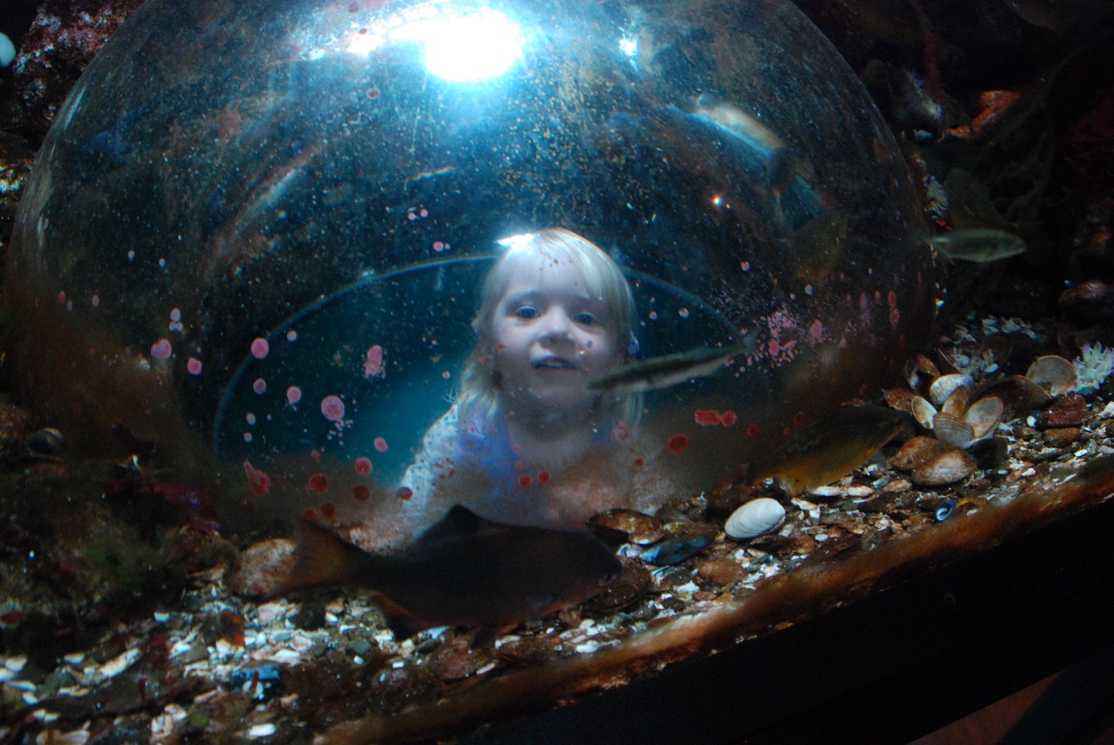 stuckihouse Sidney Aquarium