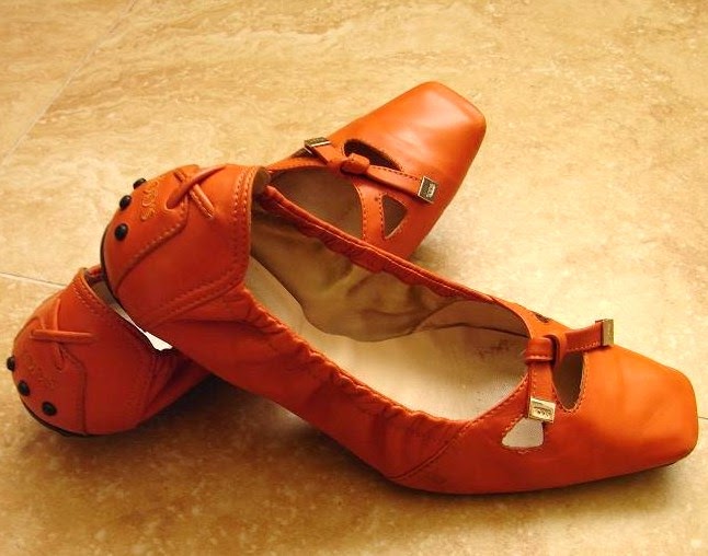 Savvy Mode Shoe Care Washing/Cleaning Leather Shoes