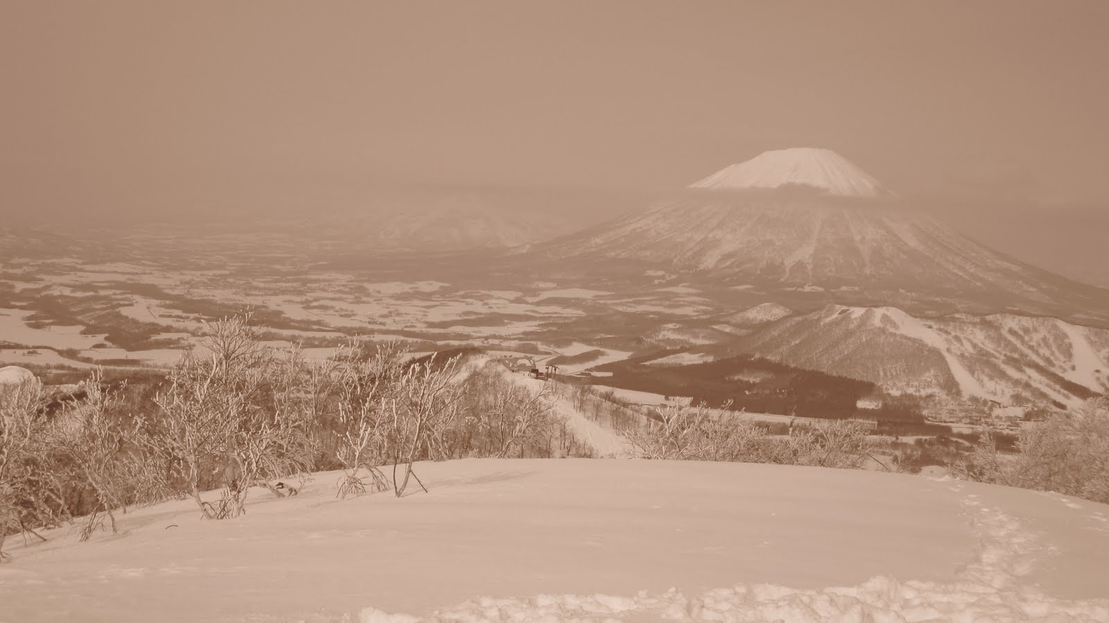 [IMG_0871.JPG]