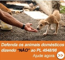 Defenda os animais domésticos no Brasil
