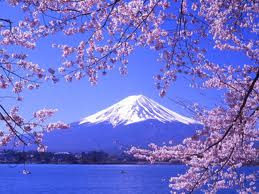 想去盛满樱花的日本