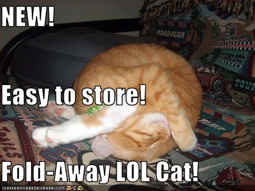 [fold-away+lol+cat.jpg]
