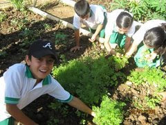 Blog Niños Del Triunfo