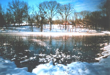 pond heater