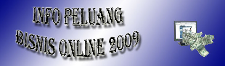 Info Peluang Bisnis Online 2009