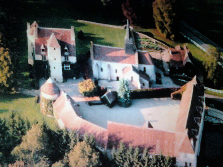 Le Vieux Château vanuit de lucht
