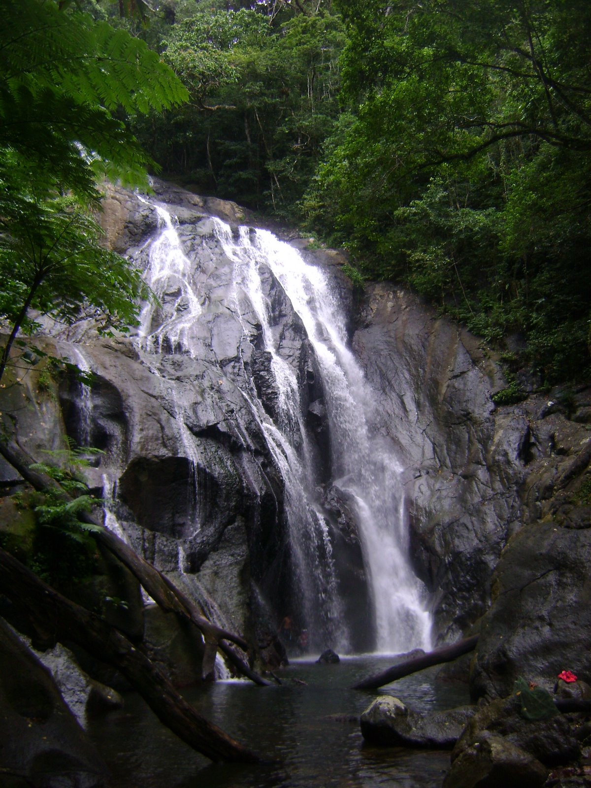 [DSC03273.JPG]