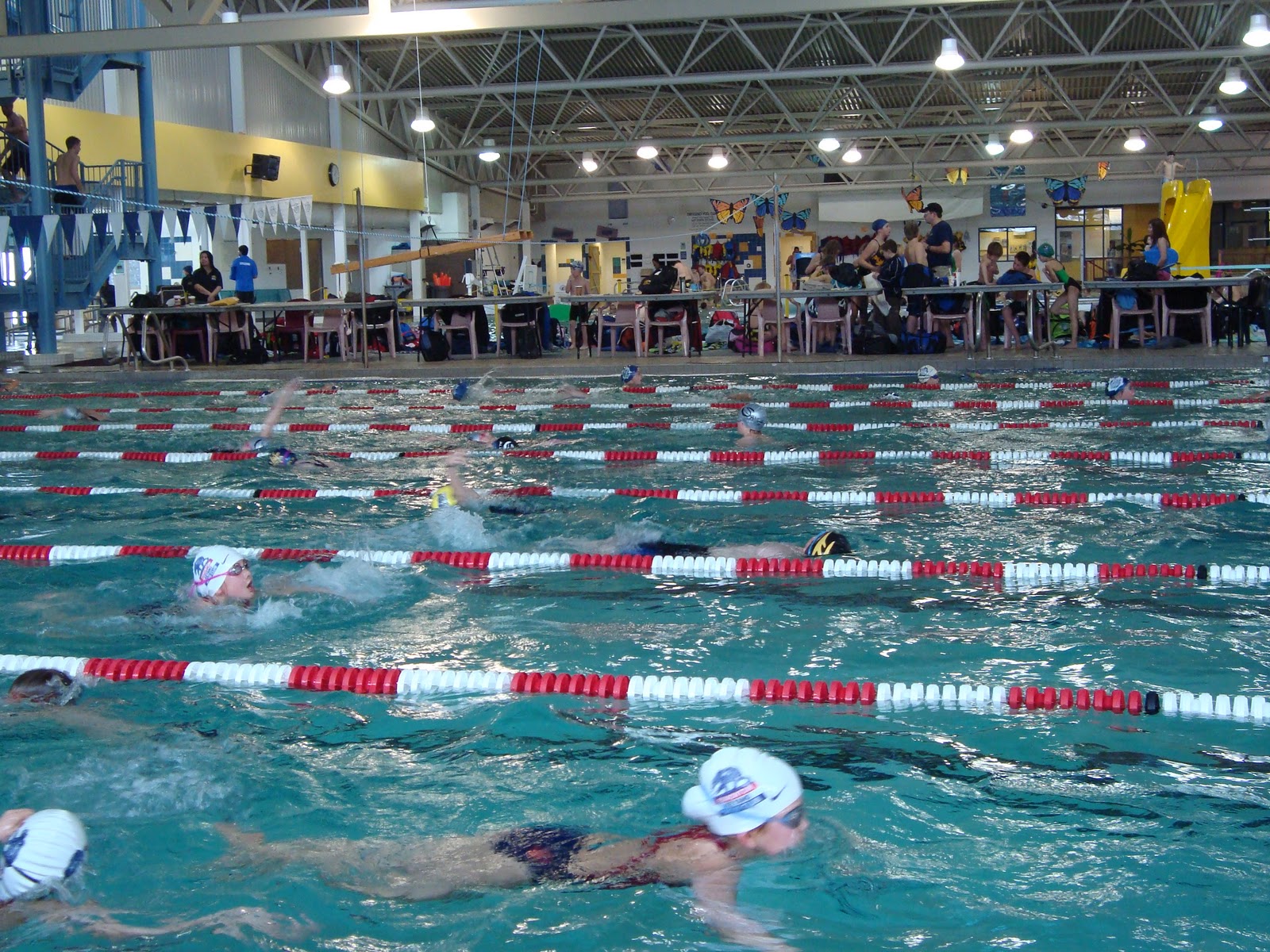 Swim Meet