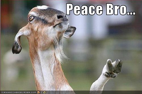 Lol Peace