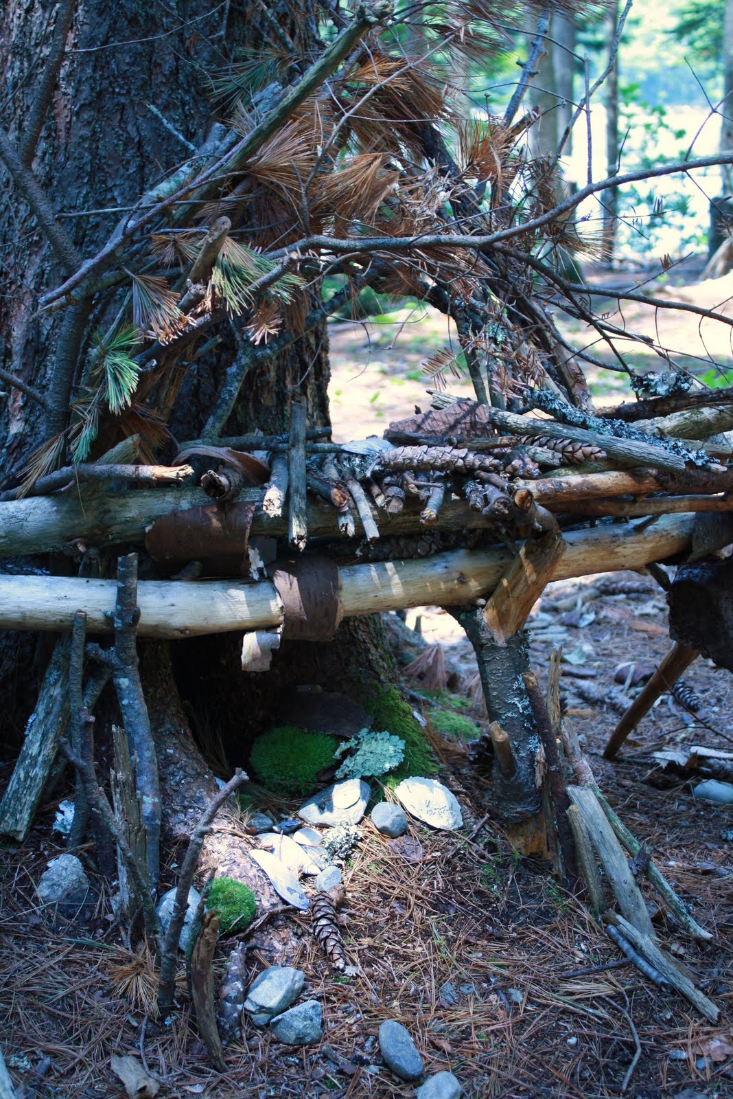 Heidi Boyd Fairy houses in the Maine woods