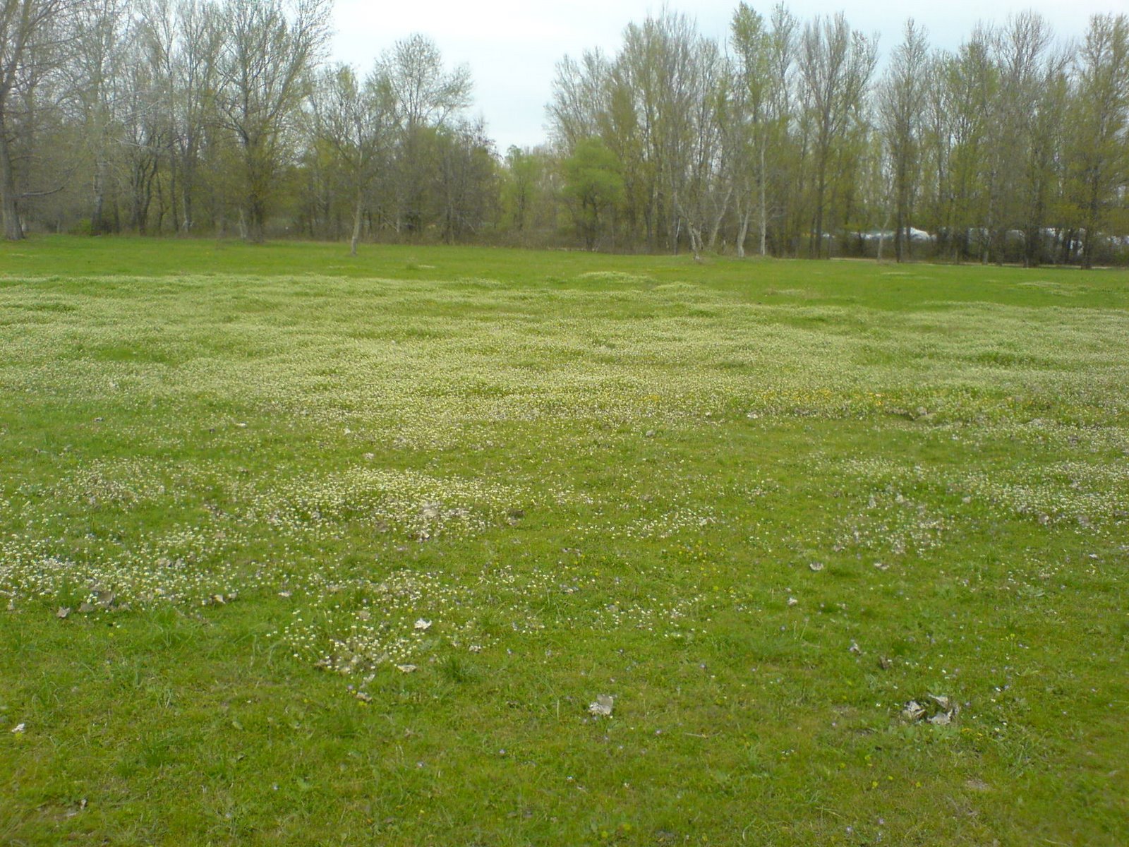 [DSC01101.JPG]