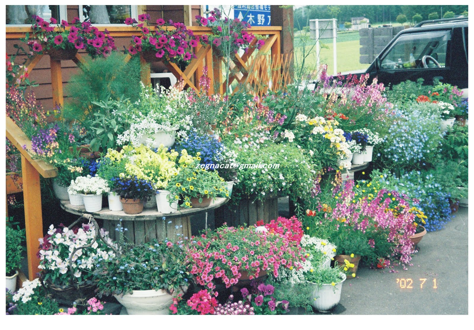 Kummy樂悠遊 景點 十勝