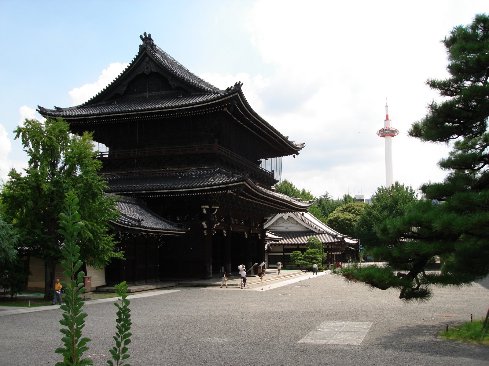 [DSC02616.JPG]