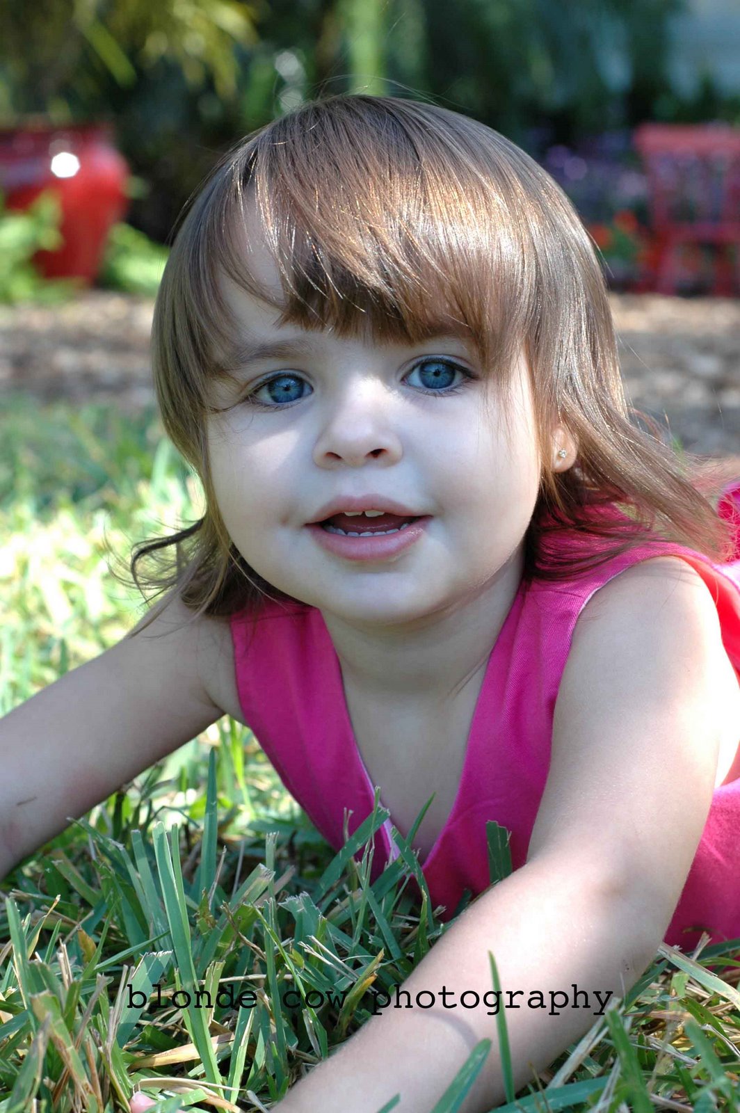 [NovemberShoots0264+copy.jpg]