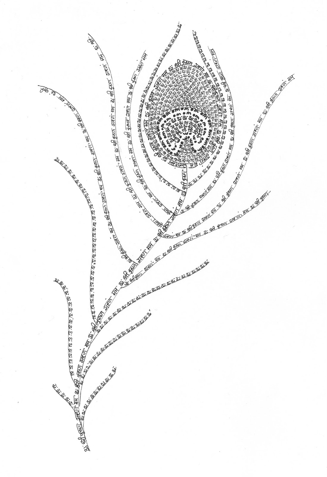 Drawing Of Peacock