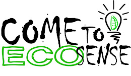 Come to ECOsense!