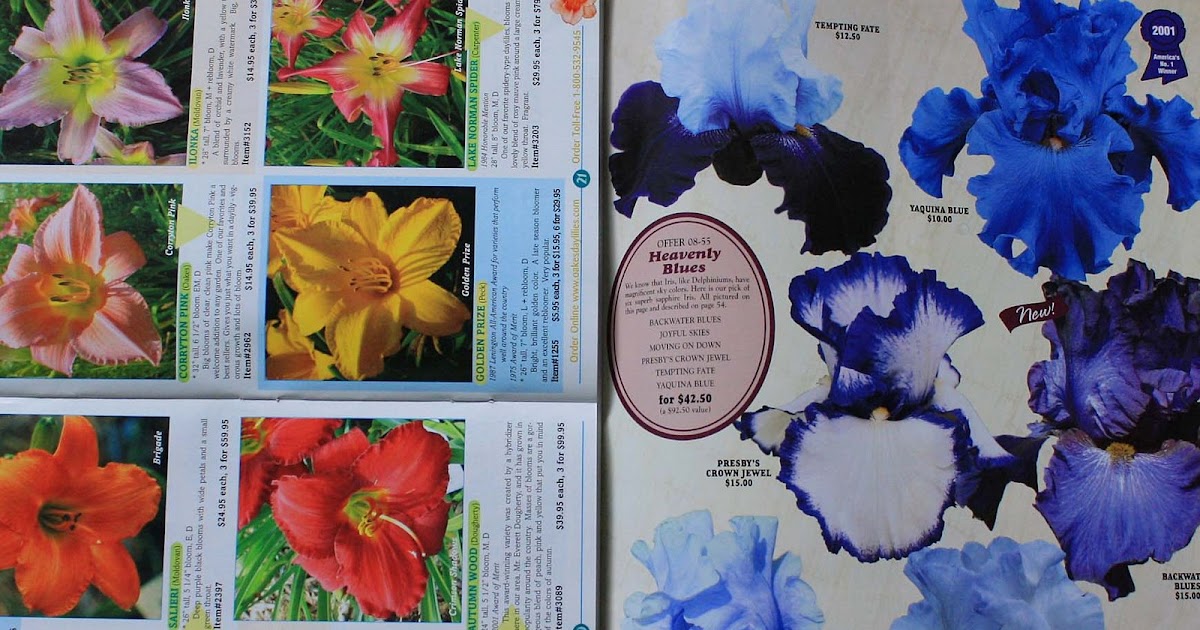 VW Garden Daylily and Iris Specialty Nurseries