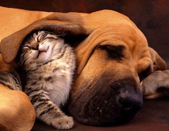 awww thats soo cute!!