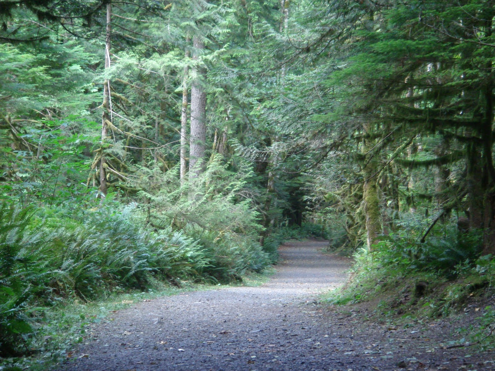 Fresh Air in B.C. Hiking and Camping Family Style Hiking Teapot Hill
