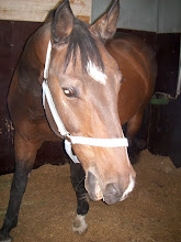 Fernboy<3