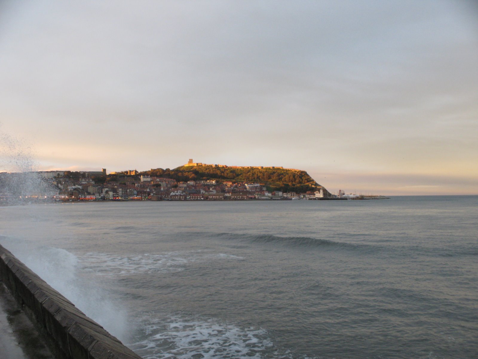 [IMG_1292.JPG]