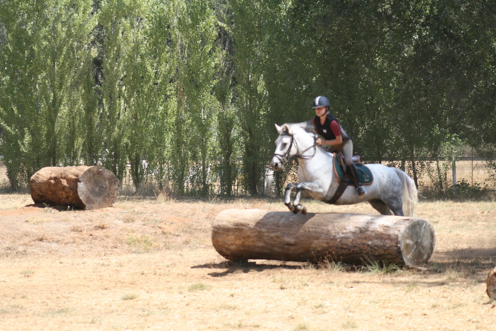 Pony Club Quiz