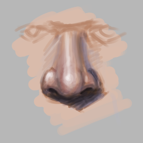 nose.png