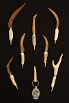Deer Antler Pens - Quill Style Pen