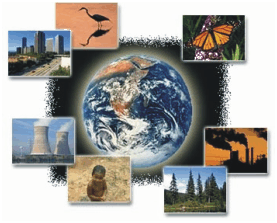 IMPACTO AMBIENTAL CONTAMINACION ACIDO impacto ambiental contaminacion acido: