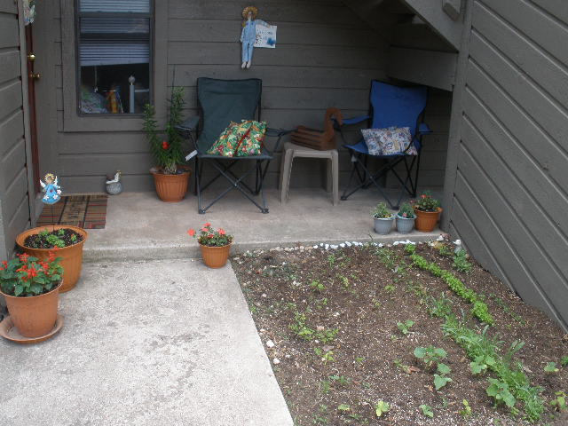 My Summer Porch