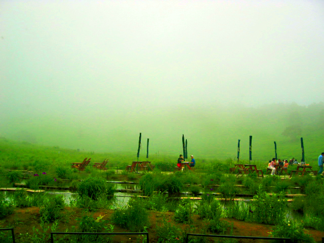 [Foggy.JPG]
