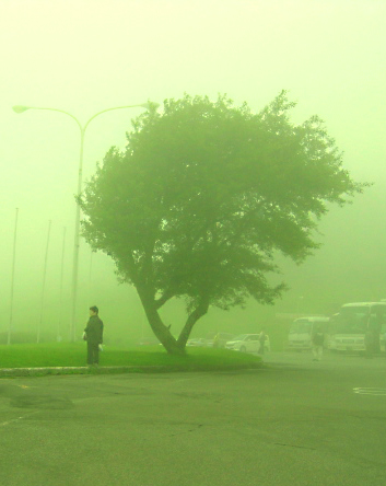 [Foggy_2.JPG]
