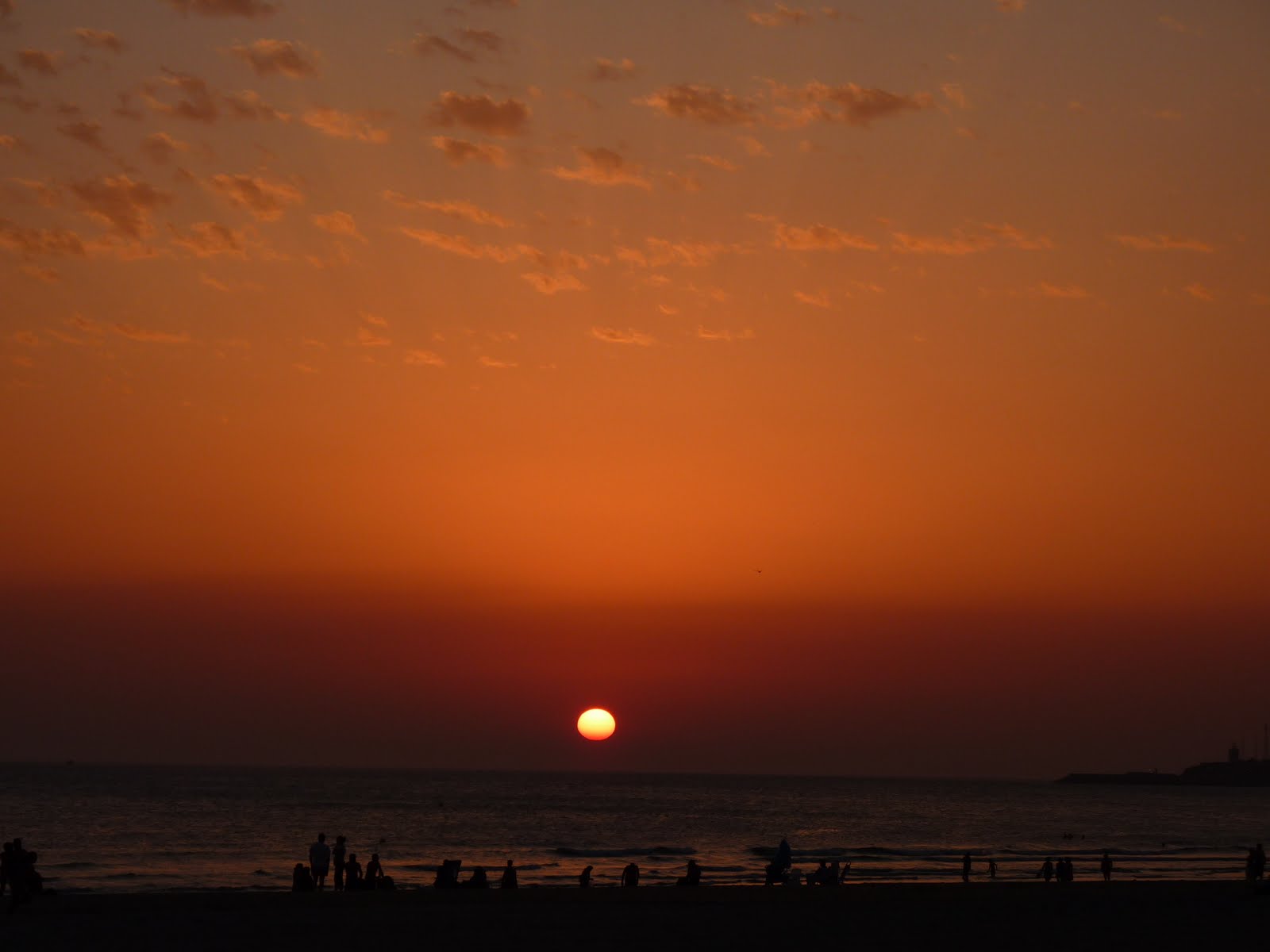 [P1000969.JPG]