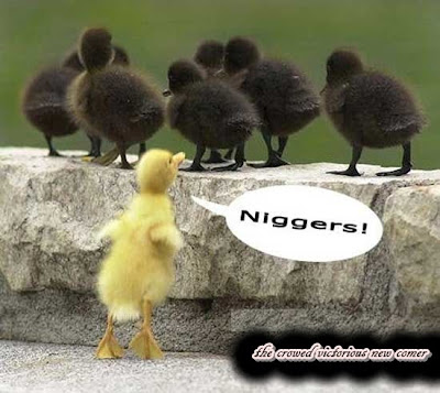 niggers.jpg
