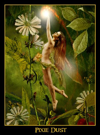 [Pixie_Dust.jpg]