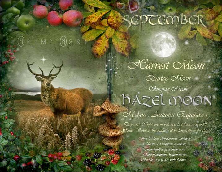 Celtic Lady: HARVEST HOME