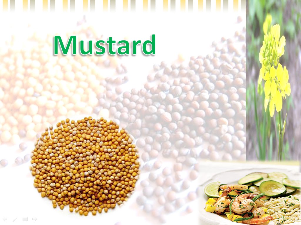 Spicy Life of Spices April 2010