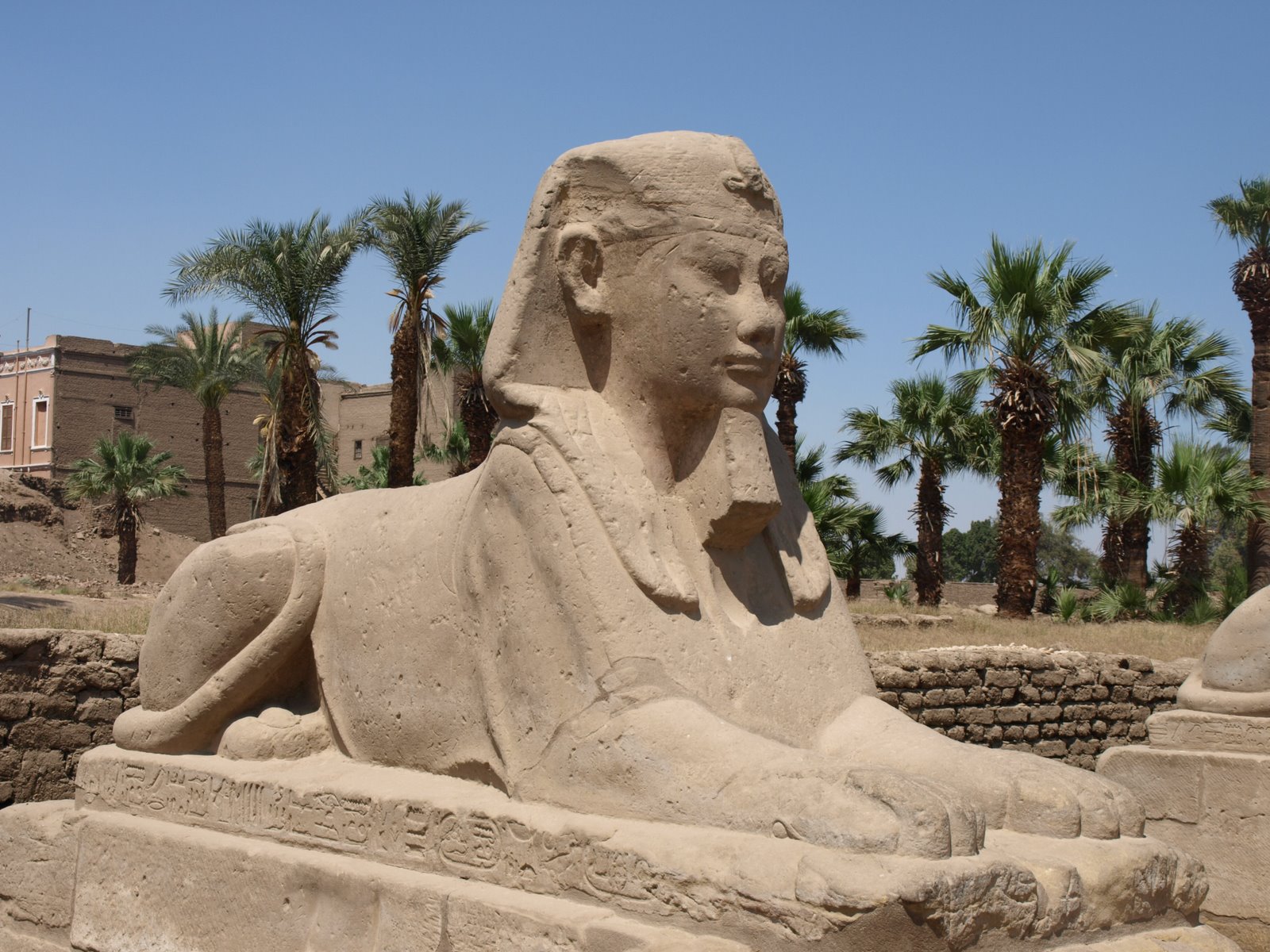 [sphinx+1.JPG]