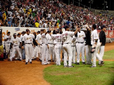 leones leones
