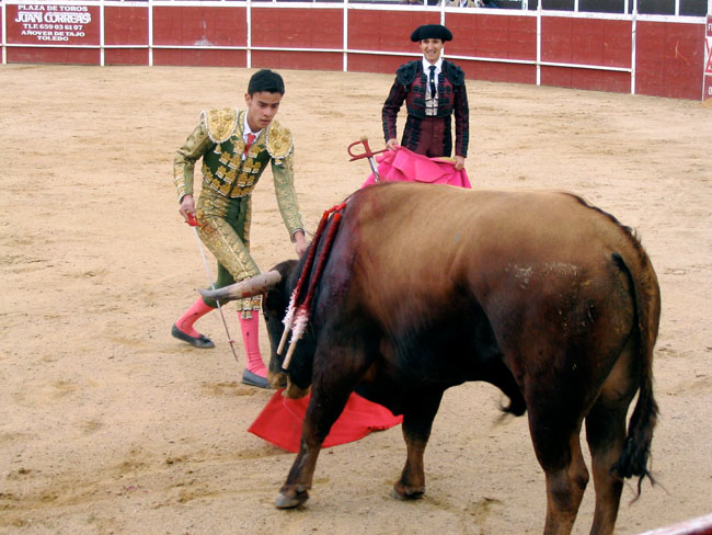 [toros3.jpg]