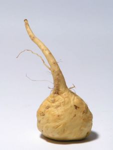 [maca]