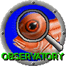 The Observatory