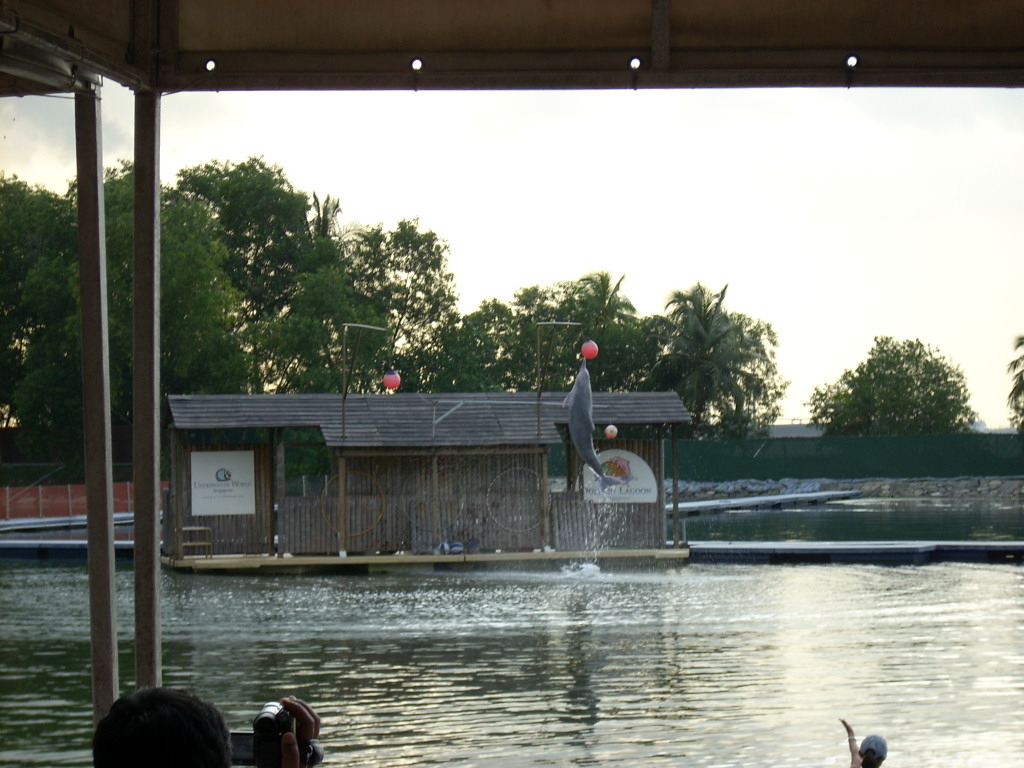 [DSCI0393.JPG]